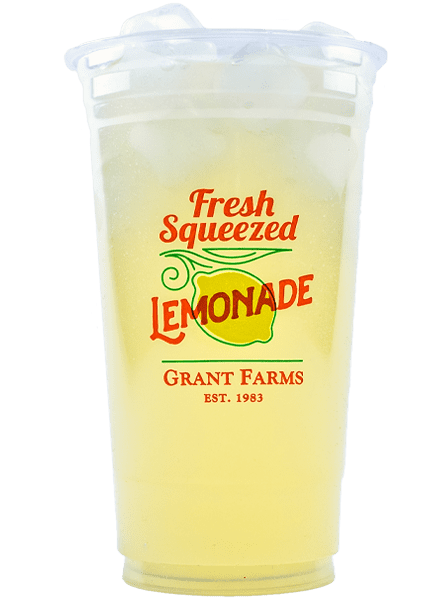 24 Oz Plastic Cold Cup Tea Soda Juice Shakes Lemonade Smoothies Clear Pet 600ct for sale online 