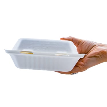 8x8 Bagasse Food Container - 1 Compartment