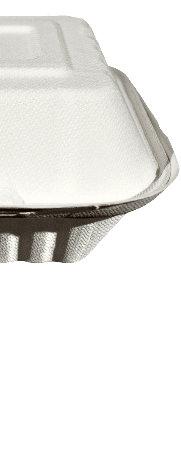 6x6 Bagasse Food Container 6x6 Bagasse Food Container
