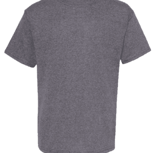 Hanes Ecosmart Youth