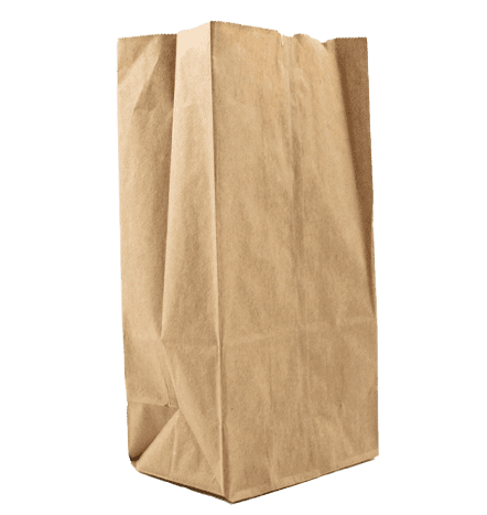 4lb Kraft Paper Bags