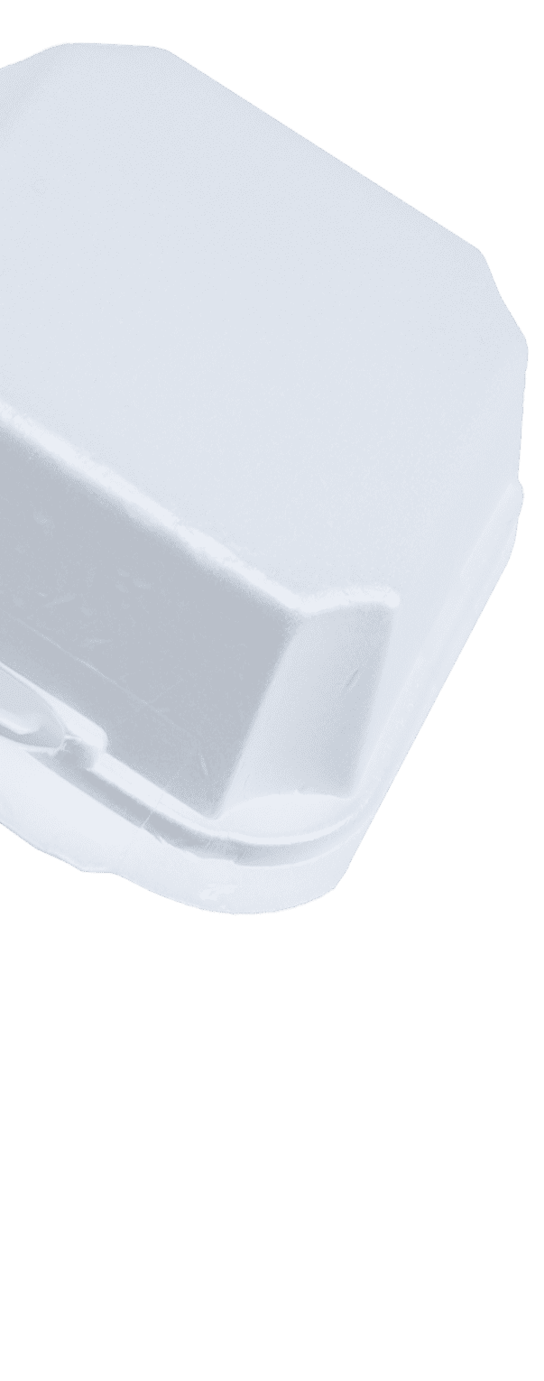 6x6 White Foam Food Container