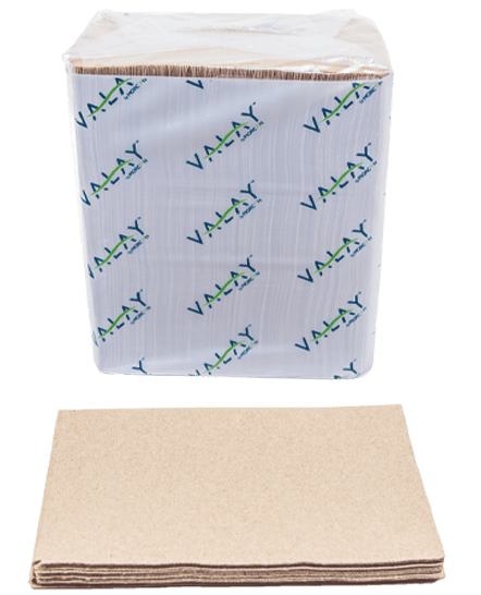 Kraft Napkin