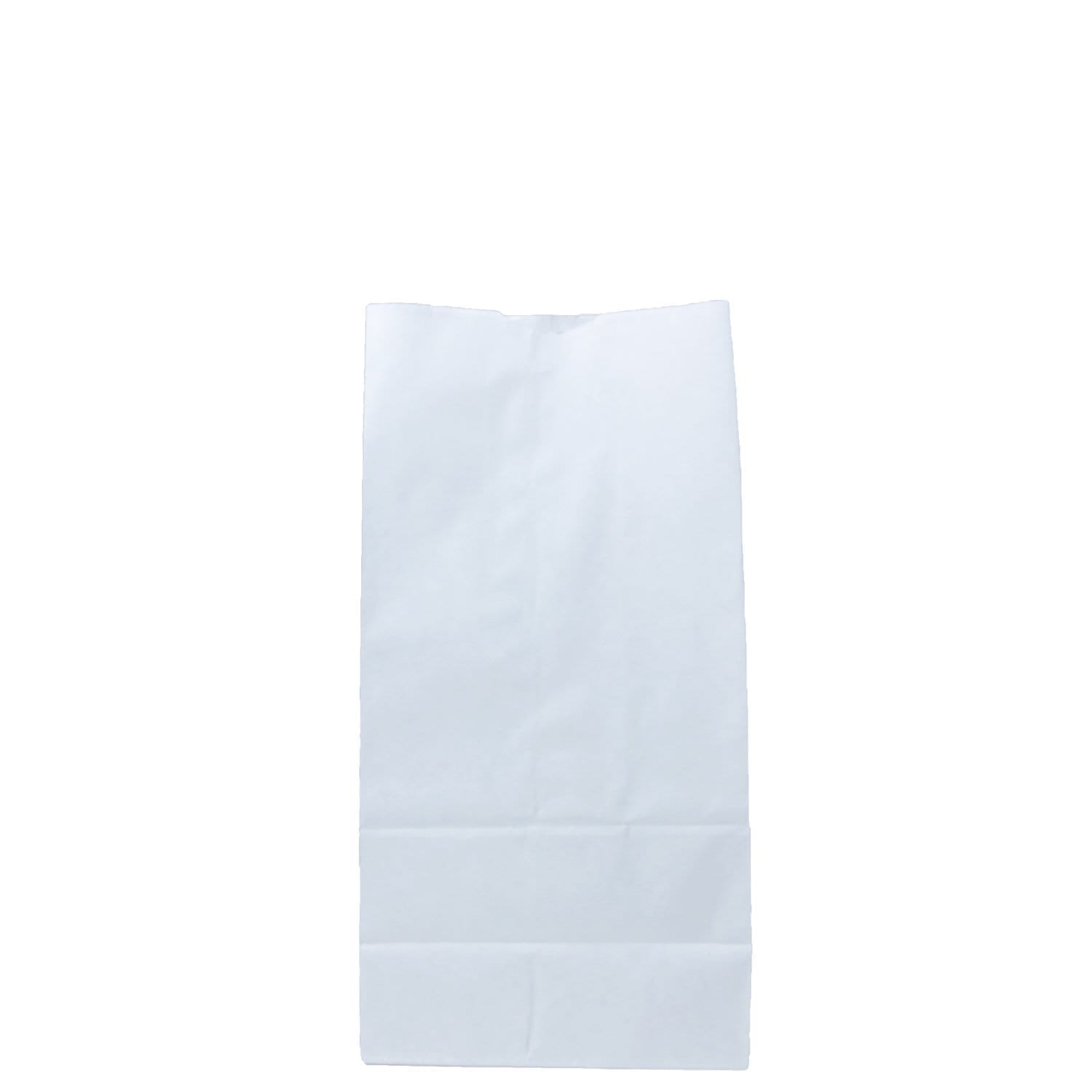 12lb White Paper Shopping Bags