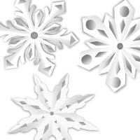 Paper Snowflake