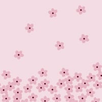 Cherry Blossoms