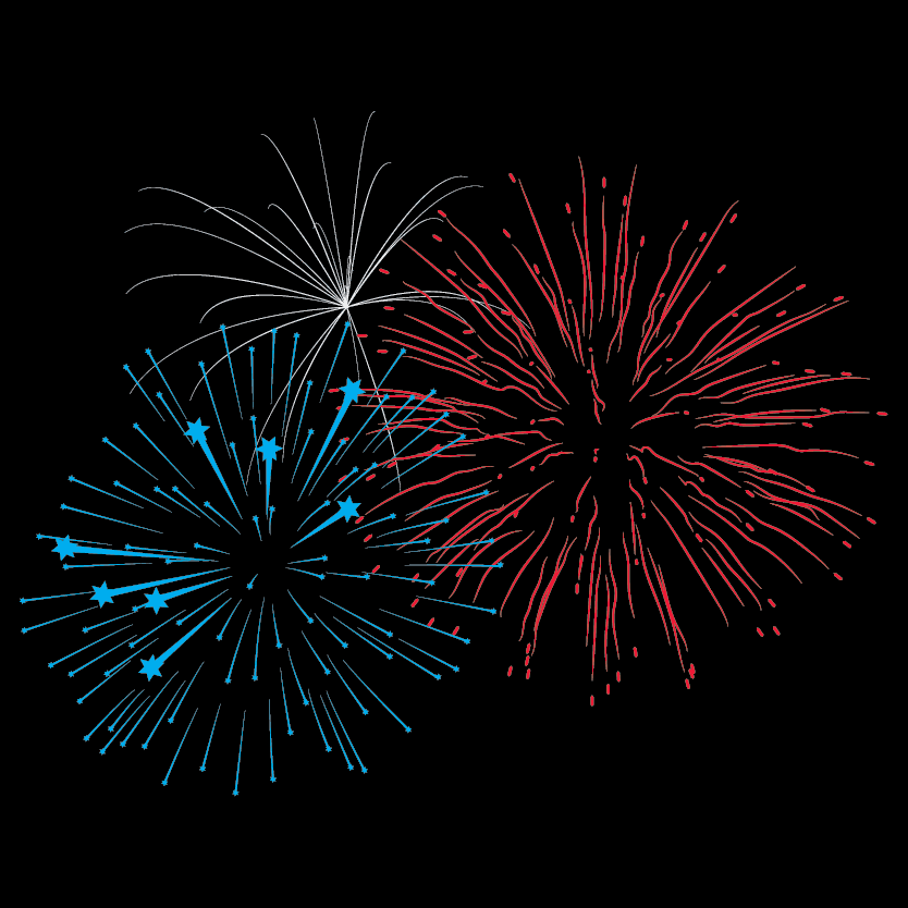 Fireworks Display