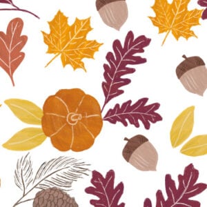 Fall Foliage