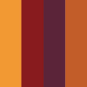 Fall Colors Mixed Pack