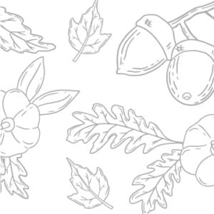 Autumn Harvest