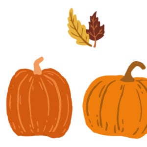 Pumpkin Patch