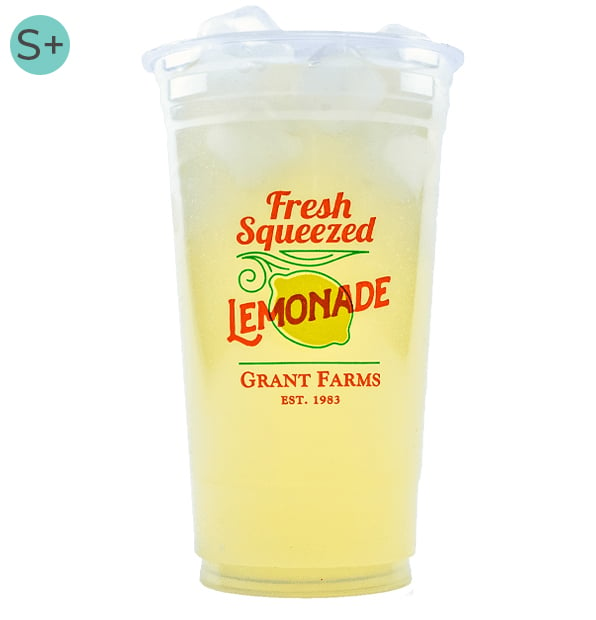 Lemonade Cups & Lids  32 oz. Plastic Cup with lid and straw