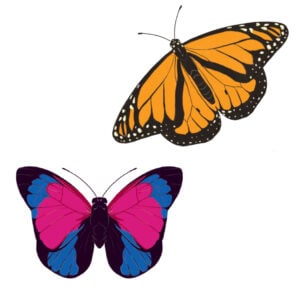 Butterfly Garden
