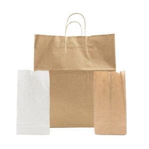 Paper Carryout Bags