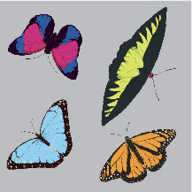 Butterfly Garden Swatch