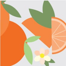 Butterfly Garden Swatch