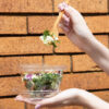 Holding 16 oz Clear Plastic Tamper-Evident Container with Lid