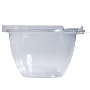 Plastic Tamper-Evident Containers
