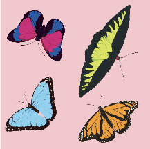 Butterfly Garden Swatch