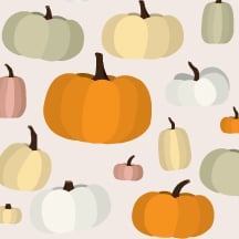 Pumpkin Season