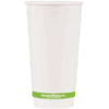 cwic20-pi-1 20oz home compostable double wall hot cup