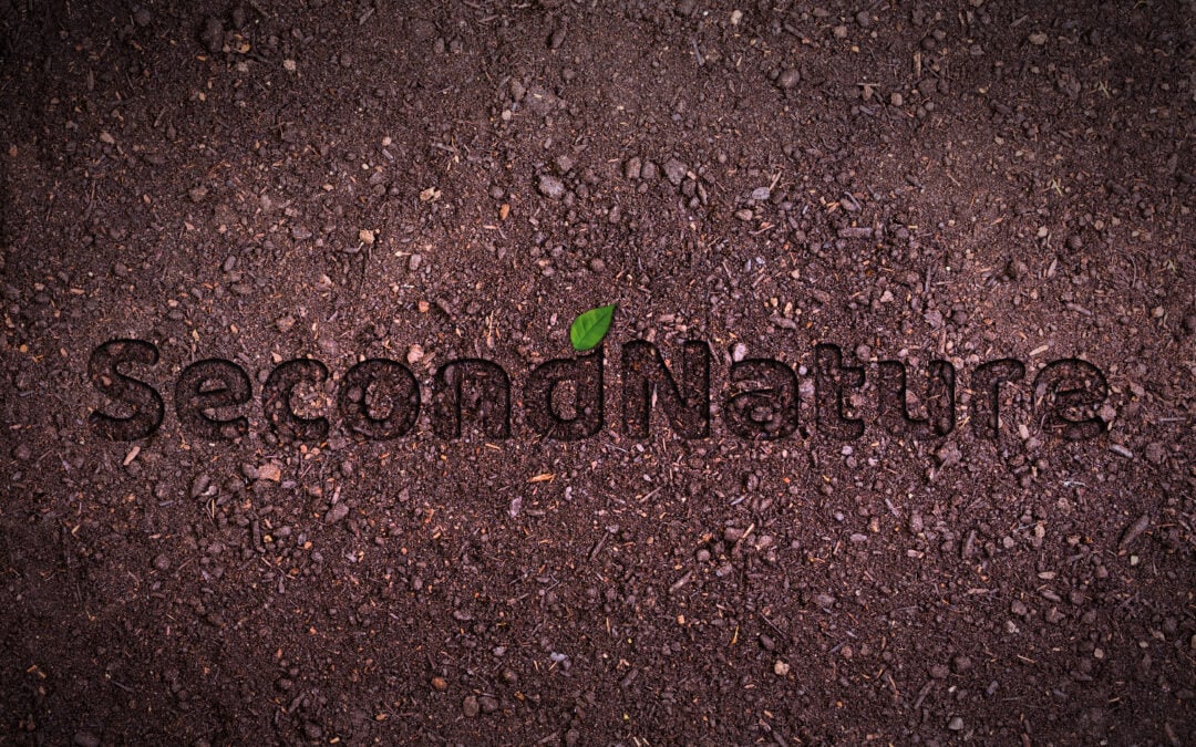 How SecondNature™ Redefines Certified Compostable Packaging