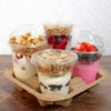 12 - 24 oz PET plastic Parfait Insert